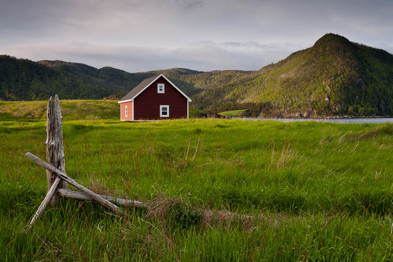 Newfoundland No-0425.jpg